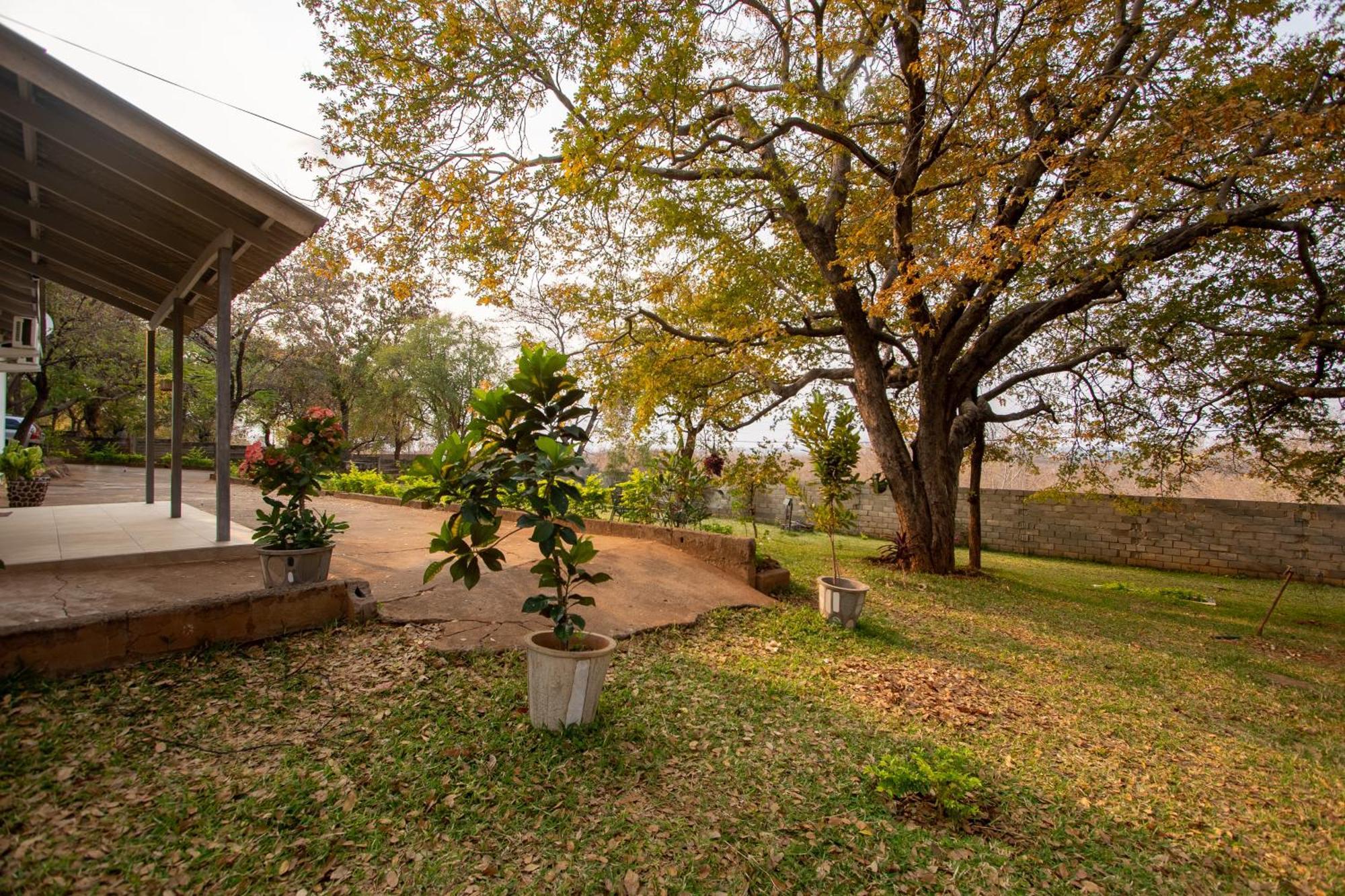 Wood Road Guest Lodge Victoria Falls Ngoại thất bức ảnh